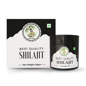 Purvaja Shilajit-30GM